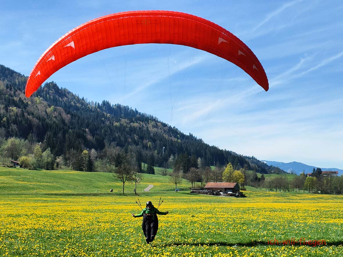 B-Schein-Online-Theorie-April