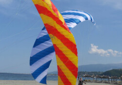 Para-Syncro