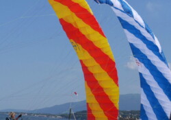 Para-Syncro